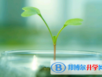 2020年南充未参加中考可以读啥学校