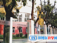 四川师范大学实验外国语学校网站网址主页