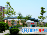 成都七中实验学校2025年招生简章