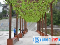 西充县育英中学网站网址主页