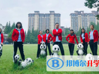 都江堰光亚学校2025年排名