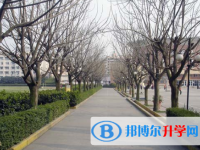 成都南洋学校网站网址主页