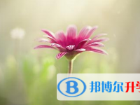 2021年凉山中考听力