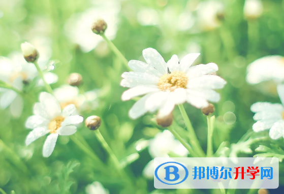 2021年安康中考的统招和调剂说明