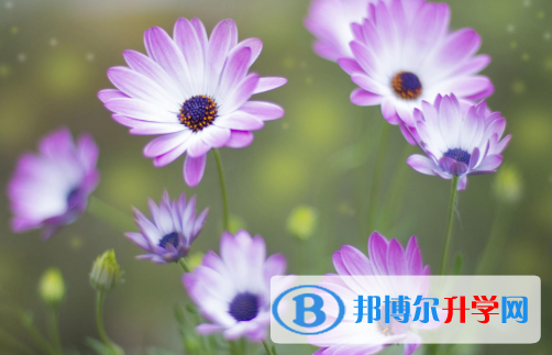 2021年安康中考考试说明