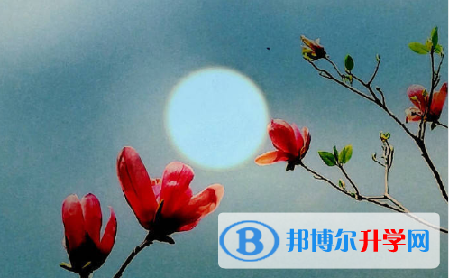 2021年安康中考时间