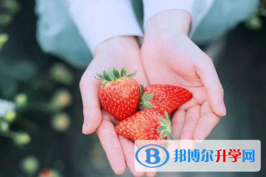 2021年汉中中考成绩好可以直升的中专