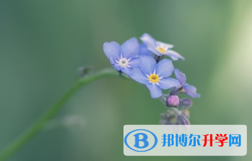 2021年安康中考注意事项