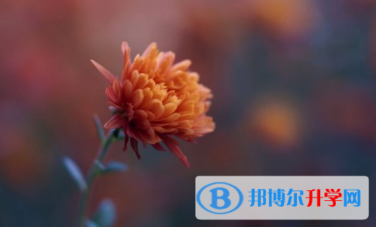 2021年安康中考重点复习