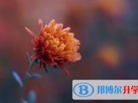 2021年安康中考重点复习