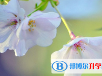 2021年安康中考状元