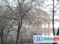 崇州市崇庆中学实验中学网站网址主页