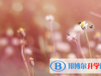 2021年安康中考准考证丢了怎么办