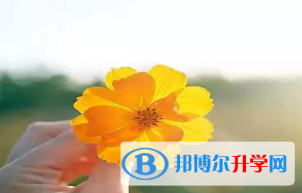 2021年安康中考有不有补录