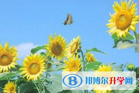 2021年安康中考怎么办