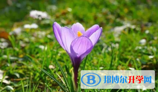 2021年安康中考是否有高价生