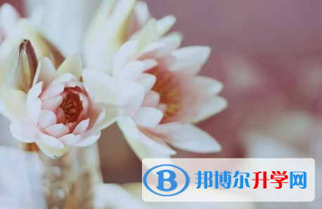 2021年安康中考是什么时候
