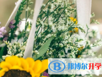 2021年安康中考落榜了怎么办