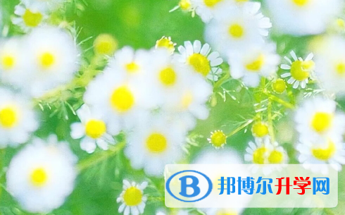 2021年安康中考考试要带什么