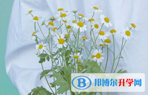 2021年安康如果中考没考上读什么好