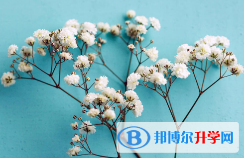 2021年安康什么时候中考