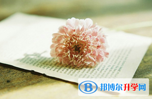 2021年汉中中考查询电话