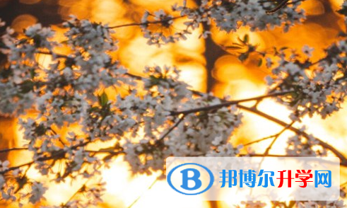 2021年安康中考报名是哪个网站