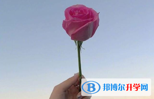 2021年商洛中考试卷难吗