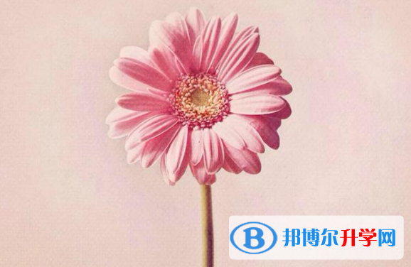 2021年商洛中考网络服务应用平台