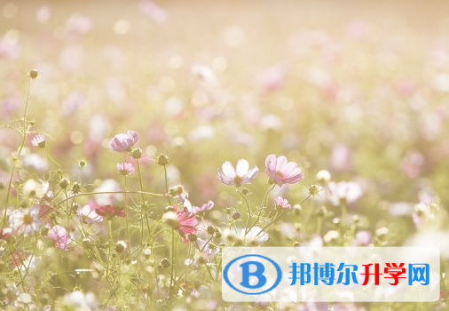 2021年石家庄中考成绩好可以直升的中专