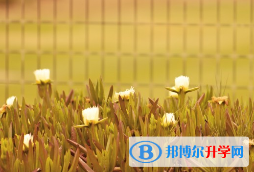 2021年石家庄中考成绩公布时间