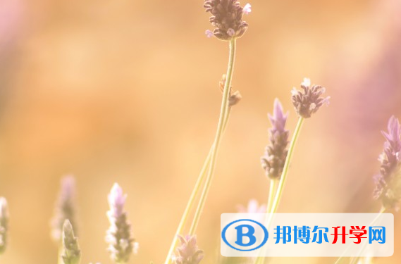 2021年石家庄中考成绩差怎么办