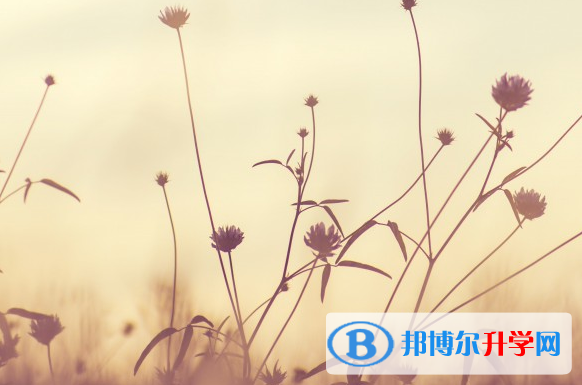 2021年石家庄教育网中考查询