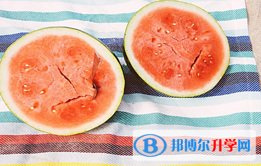 2021年商洛中考网络平台