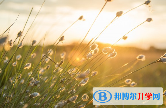 2021年石家庄二类学校中考
