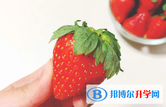 2021年商洛中考网络应用平台