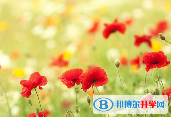 2021年石家庄中考录取名单查询