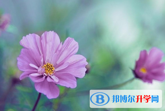2021年石家庄中考考生试卷查询