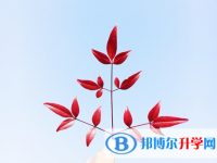 2021年石家庄近几年中考重点线