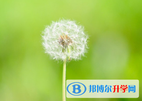 2021年石家庄有多少中考生落榜