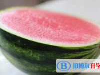 2021年商洛中考招生办