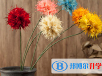 2021年商洛中考招生办电话