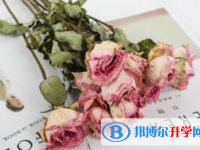 2021年商洛中考招生考试查询系统