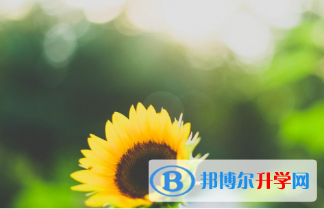 2021年秦皇岛中考课外阅读