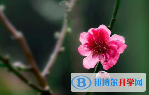 2021年秦皇岛中考理综答案