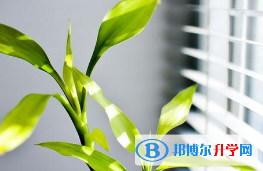 2021年唐山中考有不有补录