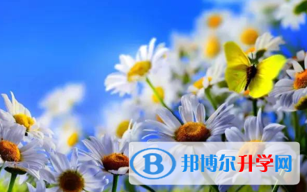 2021年秦皇岛中考统考成绩