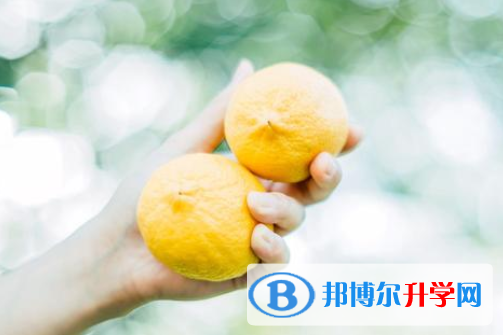 2021年唐山中考是否有高价生