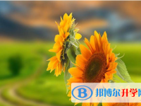 2021年唐山中考失利怎么办