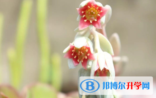 2021年唐山中考没考好怎么办